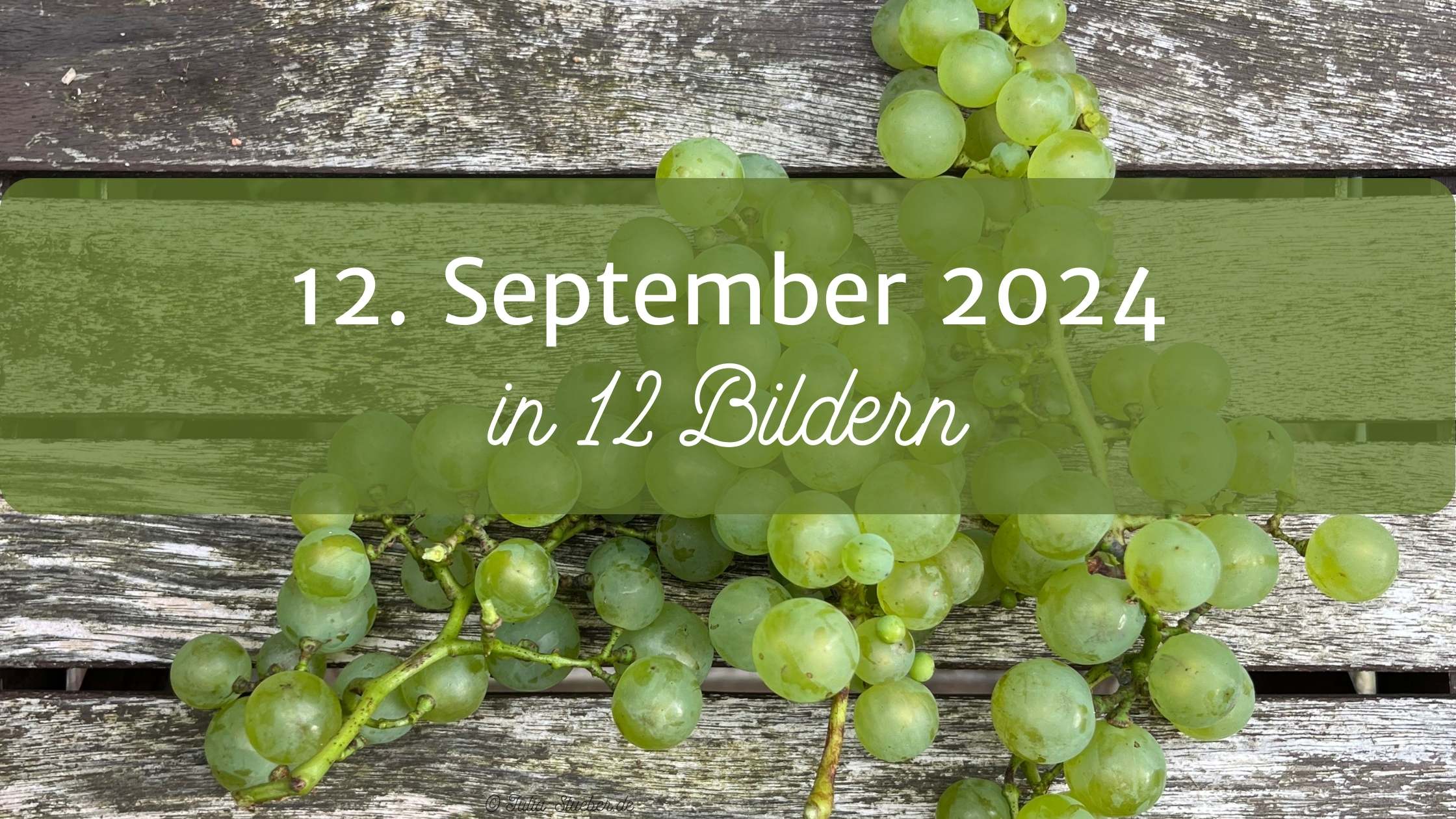 Mein 12. September 2024 in 12 Bildern, Titelbild mit Weintrauben