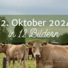 Mein 12. Oktober 2024
