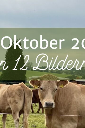 Mein 12. Oktober 2024