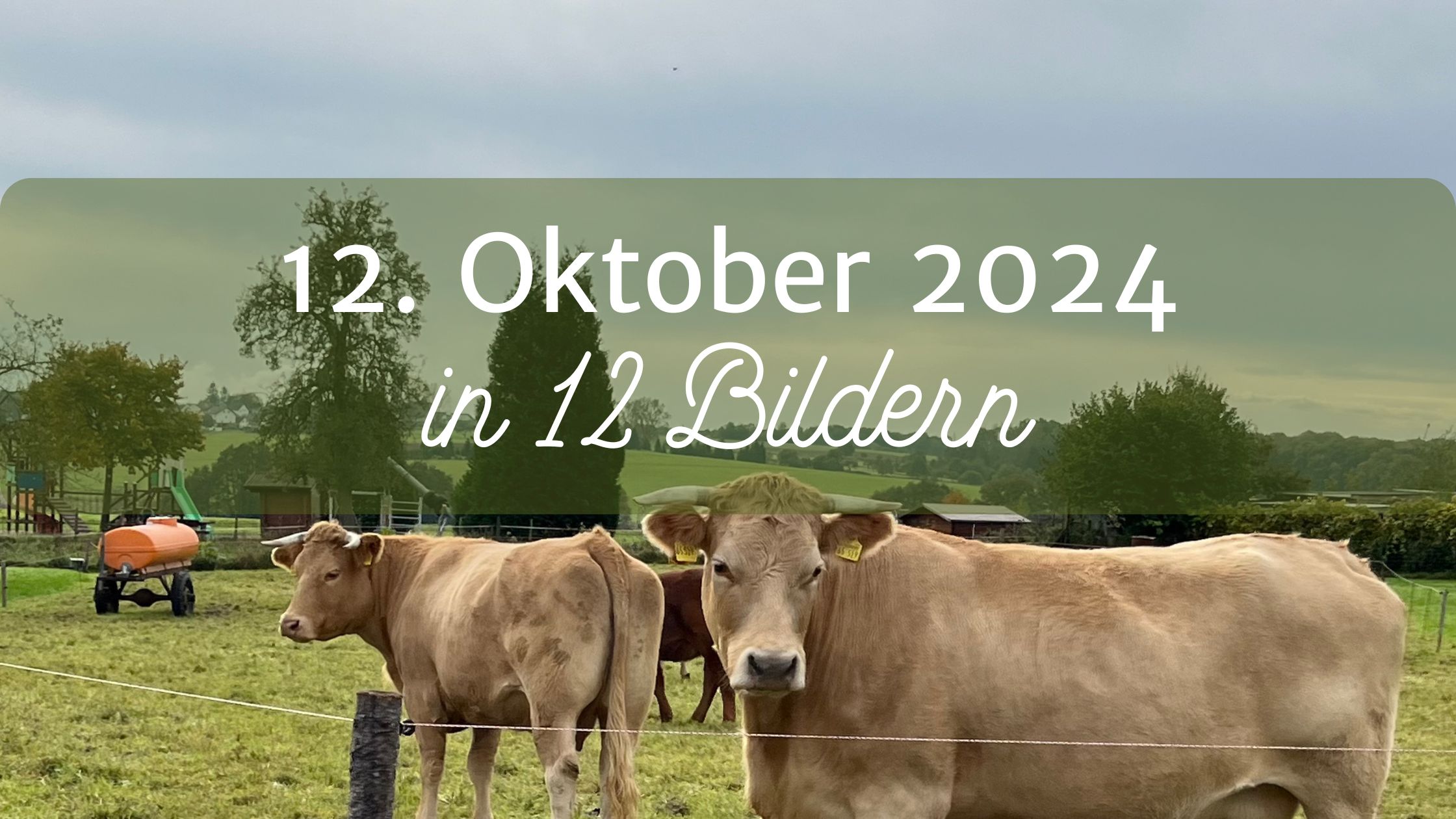 Mein 12. Oktober 2024