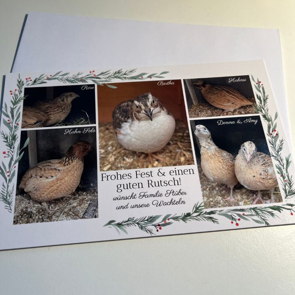 Unsere Weihnachtskarte