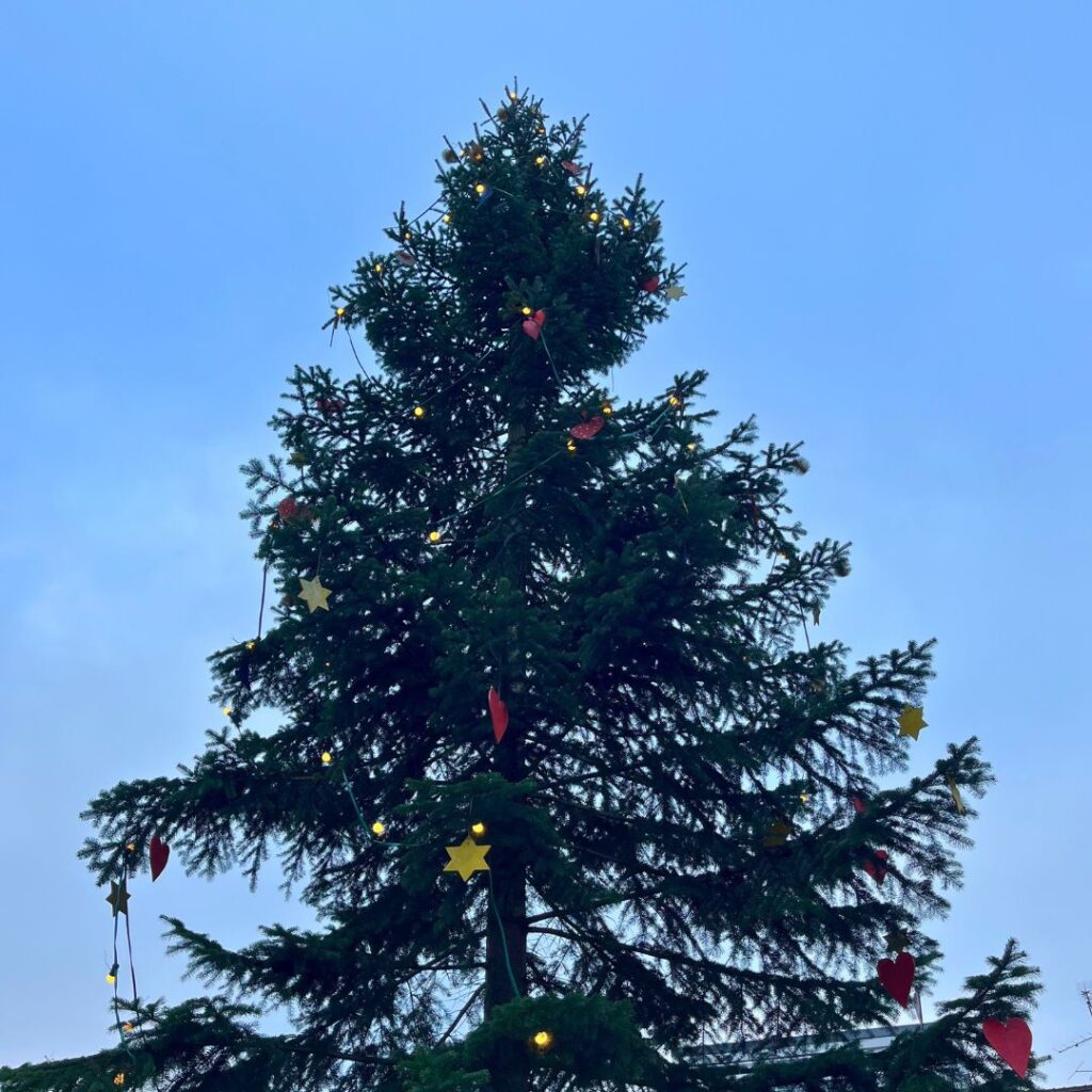 Weihnachtesbaum auf dem Marktplatz