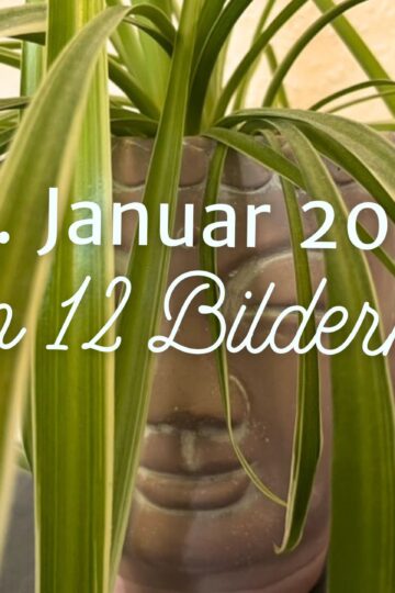 Mein 12. Januar 2025 in 12 Bildern