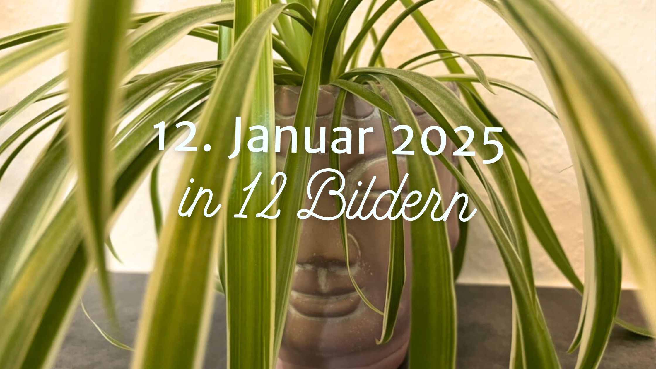 Mein 12. Januar 2025 in 12 Bildern