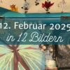 12 Bilder vom 12. Februar 2025