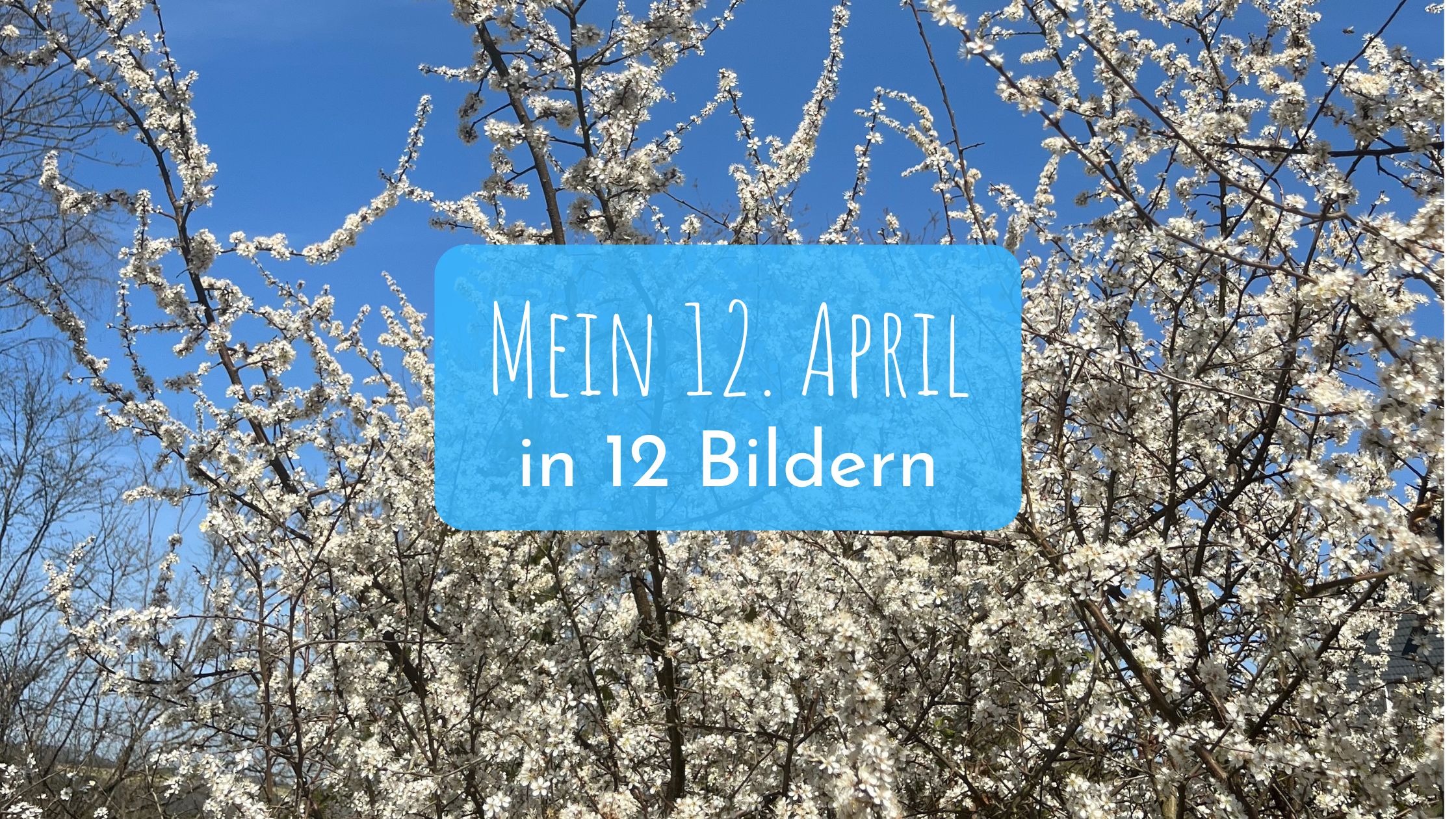 Mein 12. April 2025 in 12 Bildern