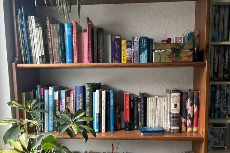 mein Bücherregal