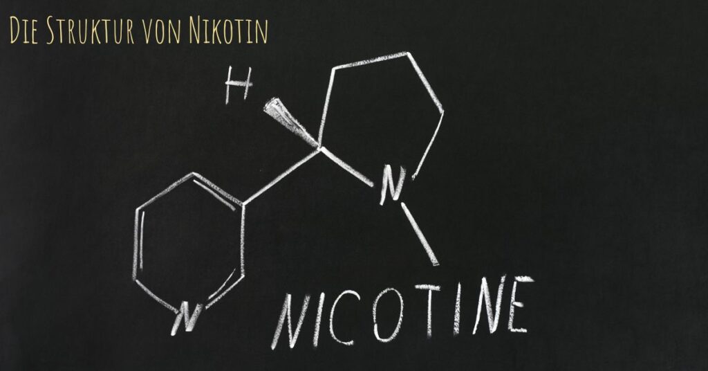 Die Struktur von Nikotin