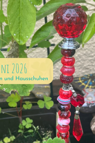 12 Bilder vom 12. Juni 2026
