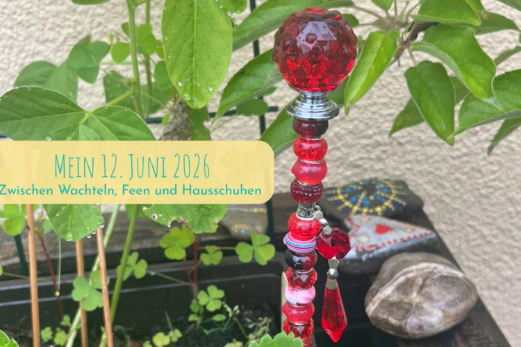 12 Bilder vom 12. Juni 2026
